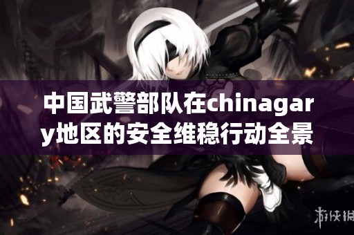 中国武警部队在chinagary地区的安全维稳行动全景观述