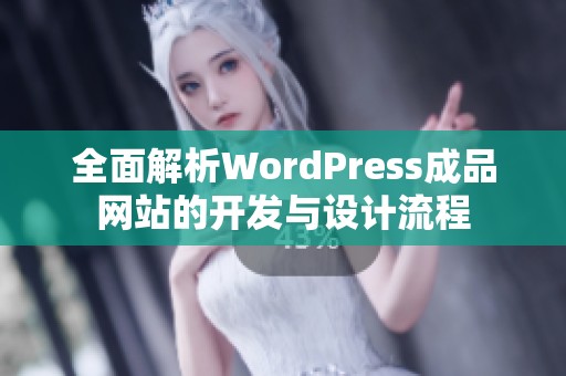 全面解析WordPress成品网站的开发与设计流程