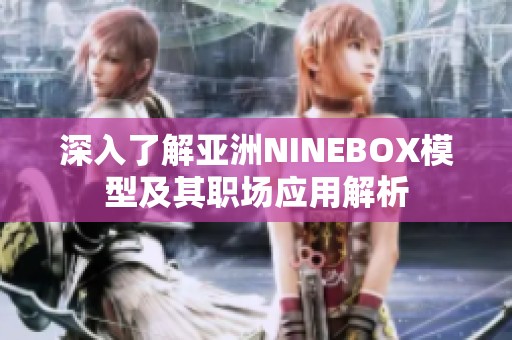 深入了解亚洲NINEBOX模型及其职场应用解析