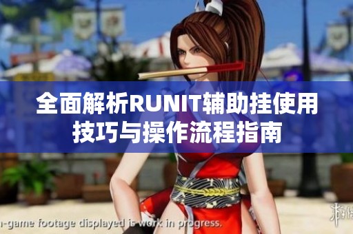 全面解析RUNIT辅助挂使用技巧与操作流程指南