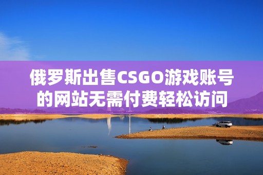 俄罗斯出售CSGO游戏账号的网站无需付费轻松访问