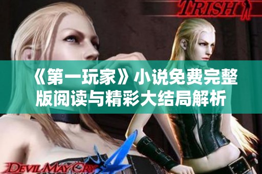《第一玩家》小说免费完整版阅读与精彩大结局解析