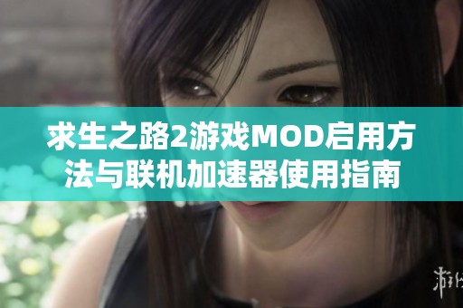 求生之路2游戏MOD启用方法与联机加速器使用指南