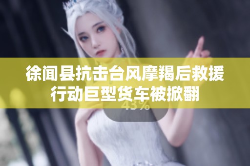 徐闻县抗击台风摩羯后救援行动巨型货车被掀翻