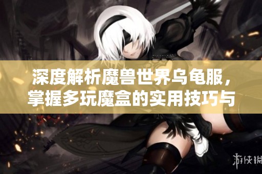 深度解析魔兽世界乌龟服，掌握多玩魔盒的实用技巧与攻略