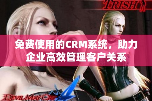 免费使用的CRM系统，助力企业高效管理客户关系