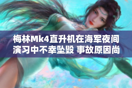 梅林Mk4直升机在海军夜间演习中不幸坠毁 事故原因尚待调查