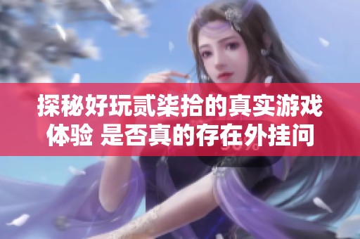 探秘好玩贰柒拾的真实游戏体验 是否真的存在外挂问题