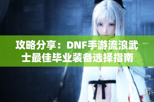 攻略分享：DNF手游流浪武士最佳毕业装备选择指南