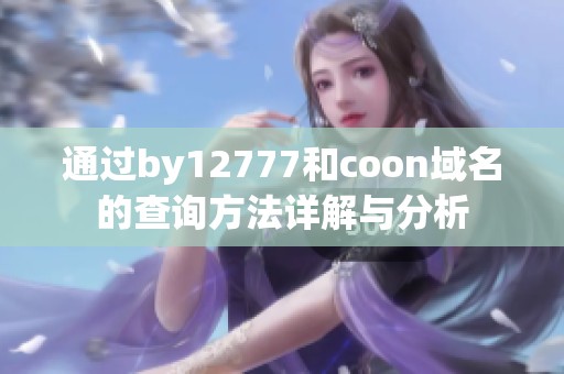 通过by12777和coon域名的查询方法详解与分析