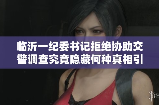 临沂一纪委书记拒绝协助交警调查究竟隐藏何种真相引发关注