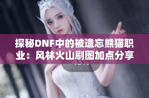 探秘DNF中的被遗忘熊猫职业：风林火山刷图加点分享