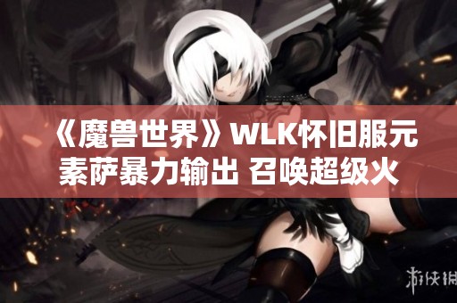 《魔兽世界》WLK怀旧服元素萨暴力输出 召唤超级火焰的完美技巧