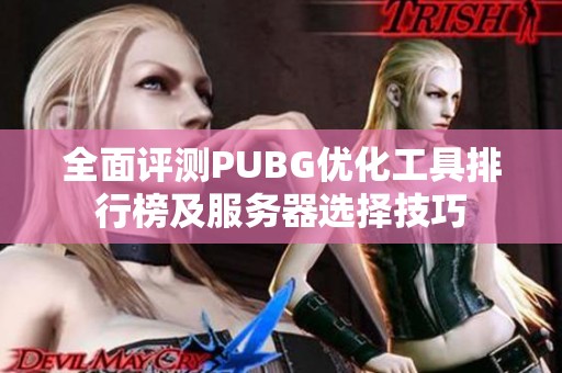 全面评测PUBG优化工具排行榜及服务器选择技巧