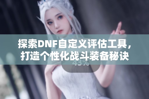 探索DNF自定义评估工具，打造个性化战斗装备秘诀