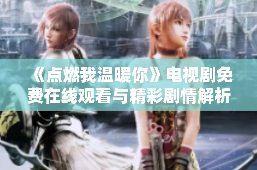 《点燃我温暖你》电视剧免费在线观看与精彩剧情解析