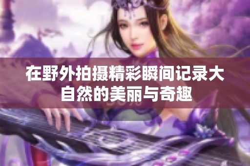 在野外拍摄精彩瞬间记录大自然的美丽与奇趣