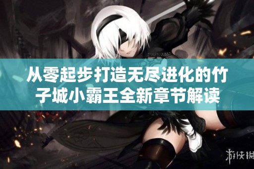 从零起步打造无尽进化的竹子城小霸王全新章节解读