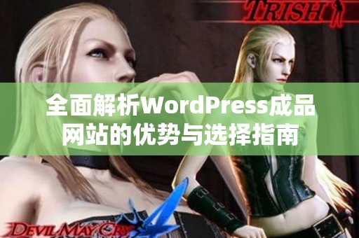 全面解析WordPress成品网站的优势与选择指南