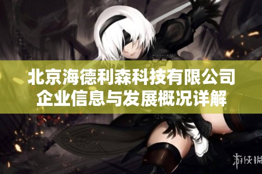 北京海德利森科技有限公司企业信息与发展概况详解