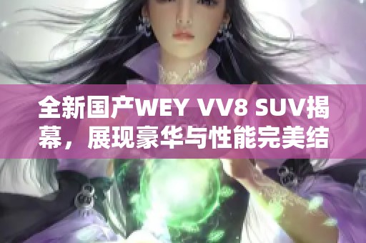 全新国产WEY VV8 SUV揭幕，展现豪华与性能完美结合