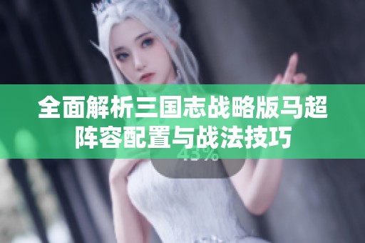 全面解析三国志战略版马超阵容配置与战法技巧