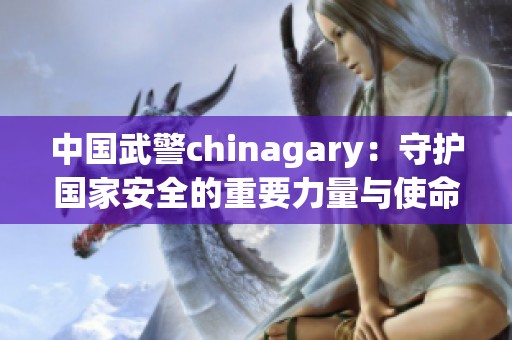 中国武警chinagary：守护国家安全的重要力量与使命