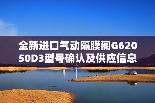 全新进口气动隔膜阀G62050D3型号确认及供应信息详解