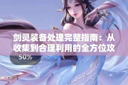 剑灵装备处理完整指南：从收集到合理利用的全方位攻略