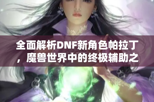 全面解析DNF新角色帕拉丁，魔兽世界中的终极辅助之光