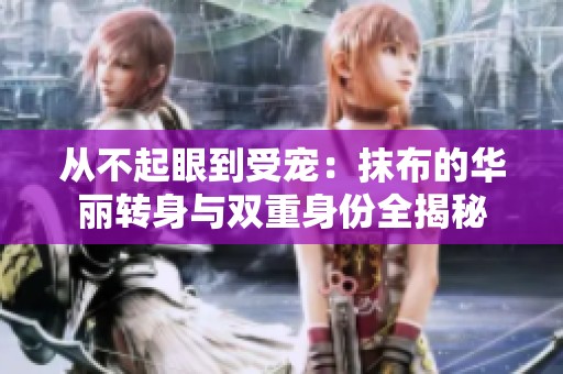 从不起眼到受宠：抹布的华丽转身与双重身份全揭秘