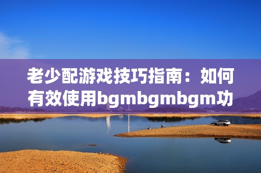 老少配游戏技巧指南：如何有效使用bgmbgmbgm功能