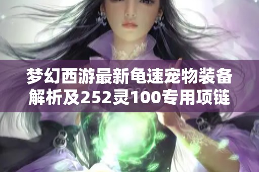 梦幻西游最新龟速宠物装备解析及252灵100专用项链介绍