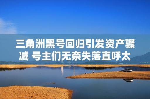 三角洲黑号回归引发资产骤减 号主们无奈失落直呼太悲剧