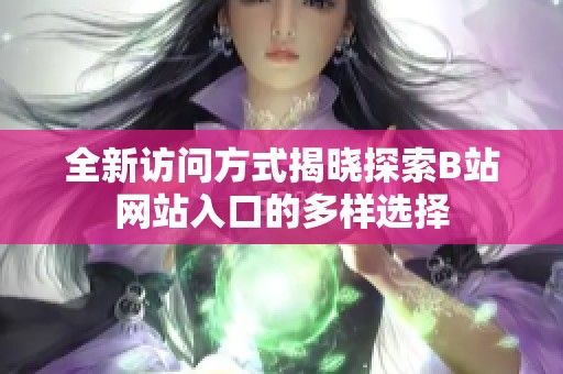 全新访问方式揭晓探索B站网站入口的多样选择