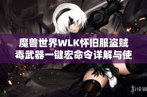 魔兽世界WLK怀旧服盗贼毒武器一键宏命令详解与使用技巧