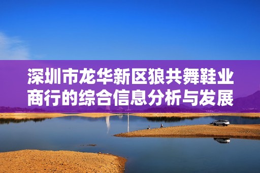 深圳市龙华新区狼共舞鞋业商行的综合信息分析与发展前景探讨